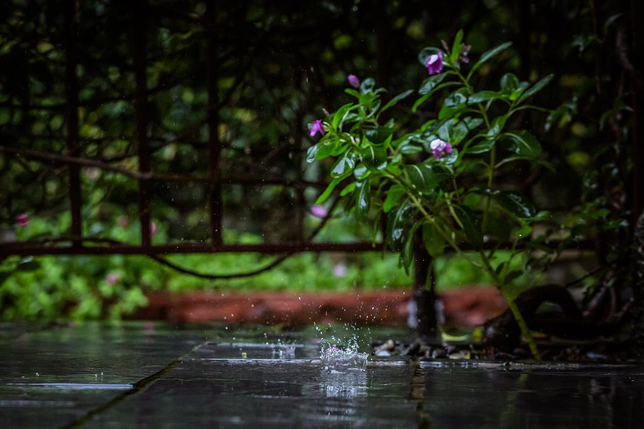 Mingtang Garden Cottage 名堂花园度假屋 Pokhara Exteriör bild